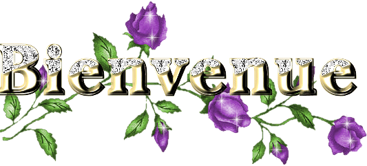 bienvenu chez mon vip